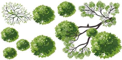 Aerial View of Lush Green Trees and Branches vector