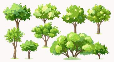 Collection of Trees Various Shapes and Sizes vector