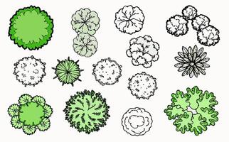Overhead View of Various Treetop Illustrations vector