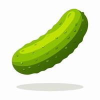 Fresh Green Pickle, Single Dill Cucumber, Isolated vector