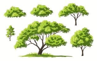 Collection of Lush Green Trees Various Sizes and Styles for Design vector
