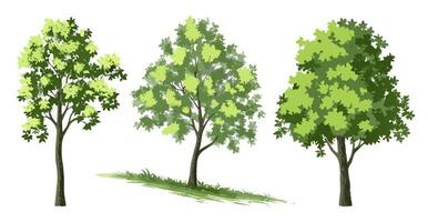 Three Green Trees, Landscape Design Elements, Illustration vector