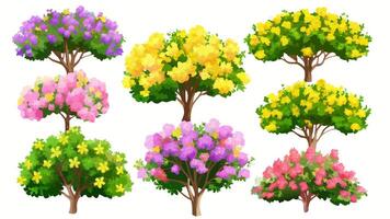 Collection of Colorful Blooming Trees and Shrubs vector