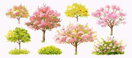 Collection of Watercolor Spring Trees and Bushes vector