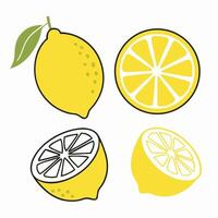 Lemon Illustrations Whole, Halved and Sliced Lemons vector