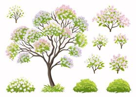 Spring Flowering Trees and Shrubs Collection Botanical Illustration vector
