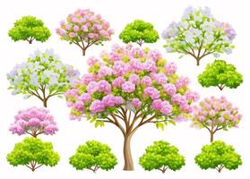 Spring Blooming Trees and Shrubs vector