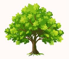 Lush Green Tree Isolated on White Background vector