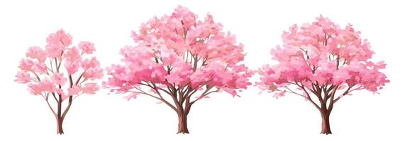 Pink Cherry Blossom Trees, Different Sizes, Spring vector