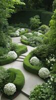 Green bushes surround stone pathway through lush garden. White blossom globes adorn gardening landscape. Curved hedges line walkway in summer setting. photo