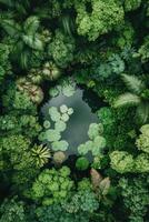 Dense Green Foliage Surrounds Small Pond with Lily Pads, View from Above, Peaceful Garden Scene photo
