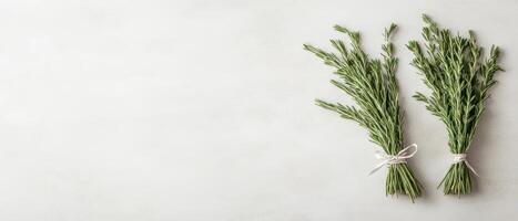 Two Bundles Rosemary Tied with String Lying on Light Surface. Concept for Gardening Fresh Herbs photo