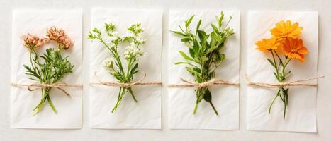Small flower bundles lie on paper tied with string showing different plant forms used in gardening photo