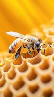 Bee crawls golden honeycomb surface. Insect collects pollen from garden. Close up yellow cells detail. Beneficial pollinator during gardening season. photo