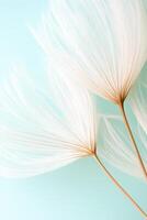 Delicate dandelion seed heads against soft blue background, representing seeds important for gardening photo