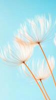 Dandelion Seed Heads Against Pale Blue Sky. Close Up of Delicate Fluffy Plant. Gardening Concept. photo