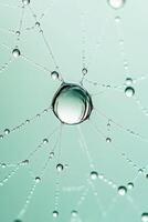Water droplets cling to web in garden. Light reflects in spherical drops on delicate structure. Dewy garden after rain. Close up view of moist gardening element. photo