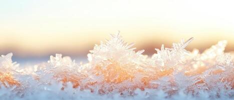 Frozen crystals close up. Winter ice patterns glow in soft morning light. Sharp delicate formations on blue surface near blurred horizon. photo