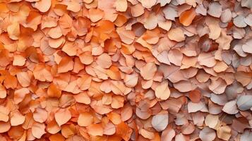 Autumn foliage background. Orange and brown dry leaves texture. Fall season nature backdrop. Colorful autumnal leaf pile. Natural outdoor pattern. photo