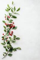 Delicate green branches curve across textured white surface. Small red berries cluster along vine. Clean minimalist plant design. Natural botanical element. photo