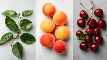 Green leaves and branch plus several peaches plus cherries with stems together on a textured surface in bright light photo