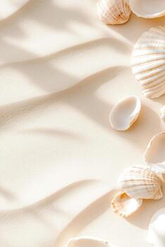 Seashells border soft sand surface. Natural light creating shadows on texture. Empty background with light beige color. Summer coast decoration with shells. photo