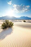 Desert landscape with sand dunes against mountains and blue sky. Sparse plants grow on a ridge. Bright sun rays. Rippled sand pattern. photo