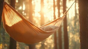 Hammock hangs between trees in sunlit forest. Relaxation scene with soft light and pillow. Tranquil summer morning in the woods. photo