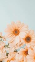 Peach color Daisies and small flowers in bloom on pale blue backdrop with space above. Floral arrangement for nature background. photo