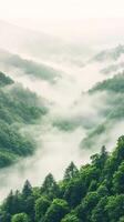 Mist gracefully envelops lush green hills during dawn, creating a serene atmosphere in a tropical jungle landscape. Nature's beauty invites tranquility photo