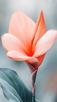 Delicate pink petals unfurl gracefully in a serene jungle environment, showcasing the beauty of tropical flora during a peaceful moment of nature photo