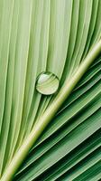 A sparkling water droplet clings to lush palm leaves under soft sunlight, highlighting the rich textures and colors of the jungle environment photo