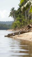 A crocodile basks in the sun on the riverbank, with vibrant foliage and tropical plants framing the peaceful waters of a jungle river photo