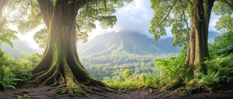 Explore the serene beauty of a tropical jungle with vibrant greenery, majestic trees, and scenic mountains basking in sunlight, inviting adventure and tranquility photo