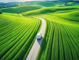 Delivery truck navigates winding road through lush green fields photo