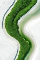 Aerial view of green vegetation between white sand and light green water. Curving nature landscape from above. Shoreline abstract pattern photo