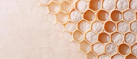 Beige honeycomb cells filled with liquid and white filling in a close up view texture pattern on blurred background photo