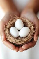 Hands gently hold small nest. Inside are three white eggs. The straw nest is a light brown color. Soft light fills the frame. photo