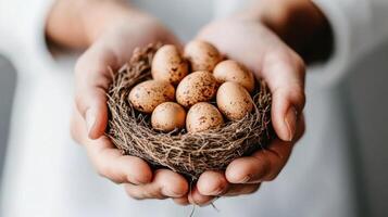 Hands holding bird nest. Small speckled eggs sit inside the woven nest. Care for nature concept. White background and soft light. photo