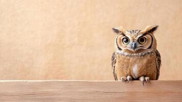 Cute owl portrait. Bird with big eyes sits on brown wood. Soft beige background with space for text or graphic. Wildlife animal. photo