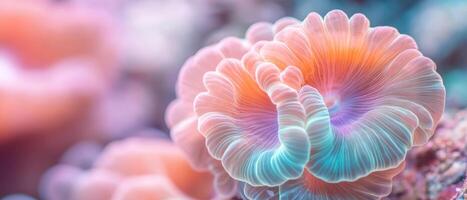 Soft coral close up in ocean. Delicate coral petals with pink orange and blue colors. Vibrant underwater marine life detail. Colorful blurred background. photo