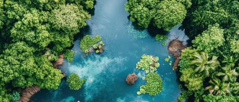 Aerial view of clear blue water surrounded by green lush forest and small islands with plants. Natural landscape from above. Calm scenery. photo