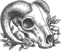 Detailed Illustration of Ram Skull with Floral Elements vector