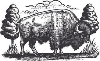 Detailed Illustration of a Bison Surrounded by Nature Elements vector