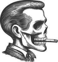 Vintage Skull Illustration with Cigarette in Side Profile View vector