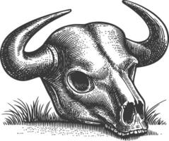 Detailed Sketch of a Bull Skull with Horns on Grass Background vector