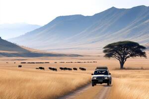 Tourists driving on a dirt road observing wildebeests migrating in the african savanna photo