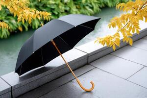 Classic black umbrella resting on granite border near pond in autumn photo