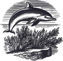 Vintage Dolphin Illustration with Seaweed and Coral Elements vector