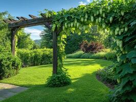 Lush garden archway adorned with hop plants in vibrant greenery photo